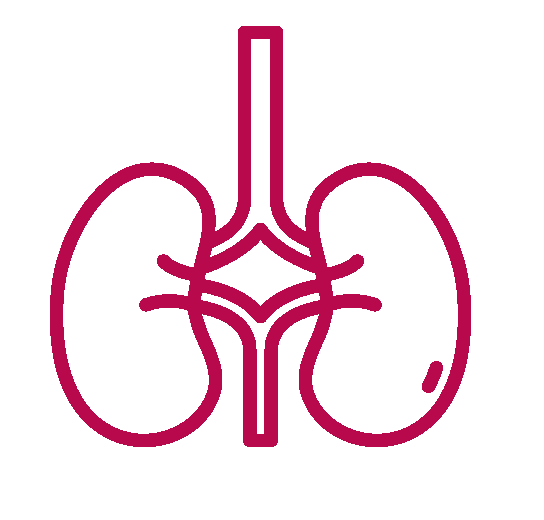 Renal Care Management Programme